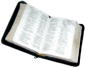 bible1