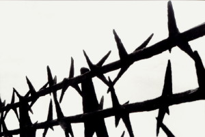 barbed wire
