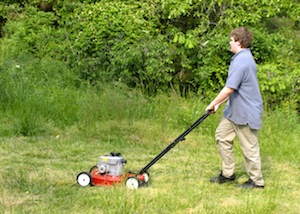 mowing